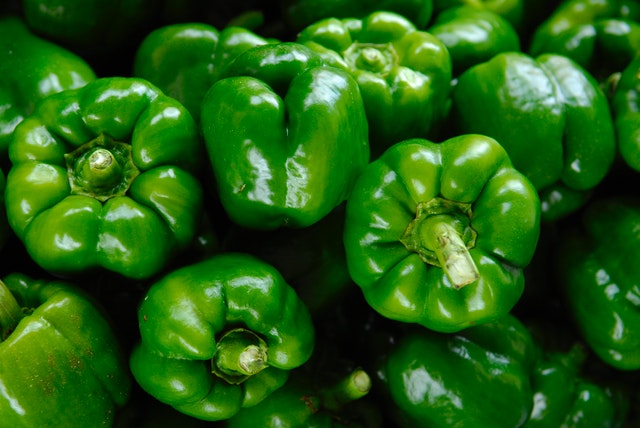 hydroponic bell peppers